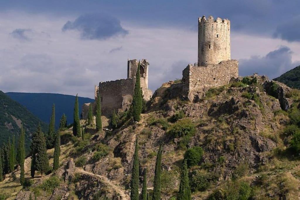 Maison Sur Les Hauteurs De Carcassonne Buitenkant foto