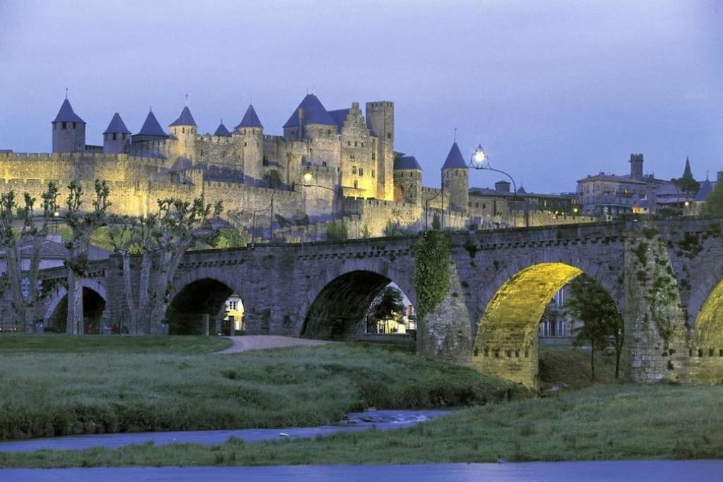 Maison Sur Les Hauteurs De Carcassonne Buitenkant foto